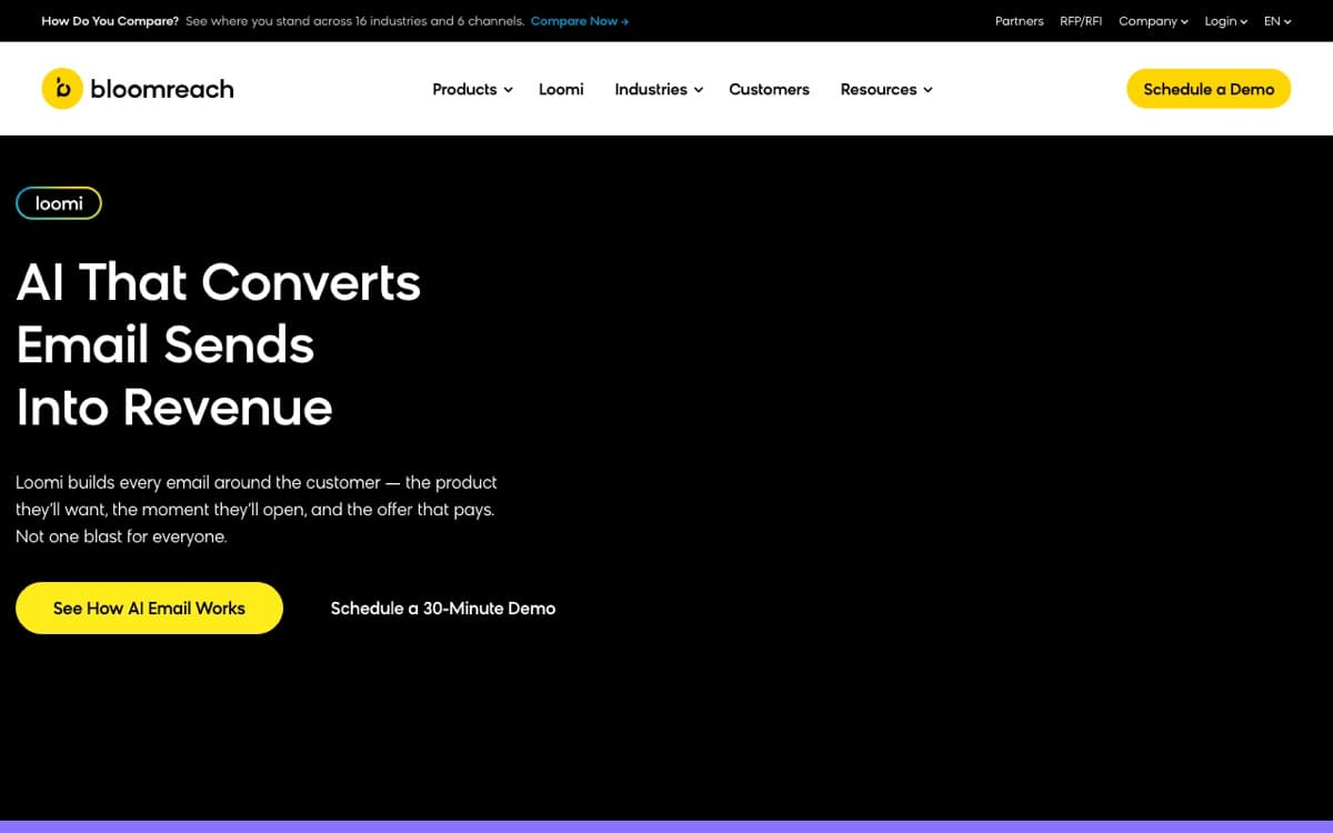 Bloomreach website